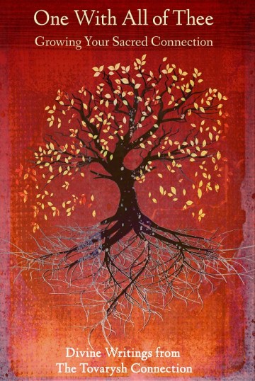 20130625-Tovarysh-cover medium size